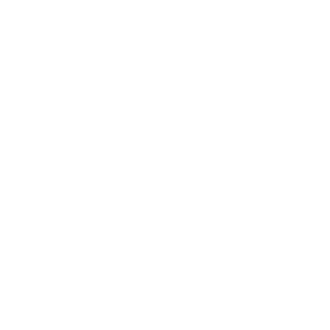 Pet Parasite Control Icon